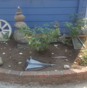 Meet your Posher, Larry